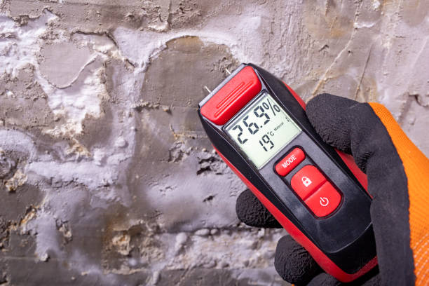 Best Crawl Space Mold Removal  in Rheems, PA