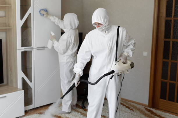 Certified Mold Removal in Rheems, PA