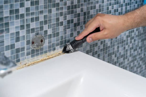 Best Best Mold Removal Companies  in Rheems, PA