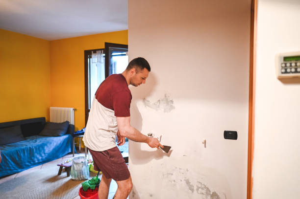Best Mold Removal Specialists  in Rheems, PA