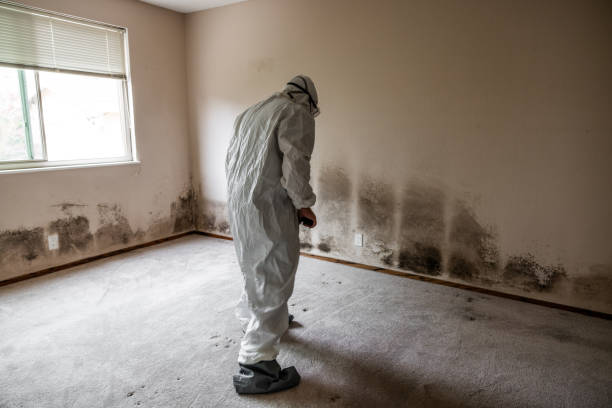 Water Damage Restoration in Rheems, PA